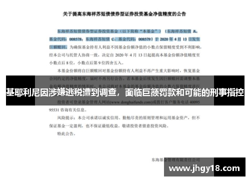 基耶利尼因涉嫌逃税遭到调查，面临巨额罚款和可能的刑事指控